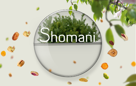 بازرگانی شمانی